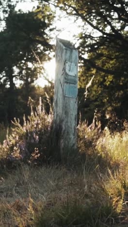 wooden post in a forest