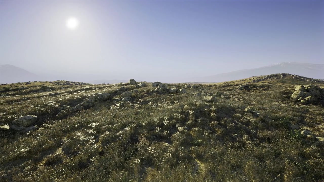 Scena rurale pacifica: tranquilla collina erbosa adornata con pietre e fiori