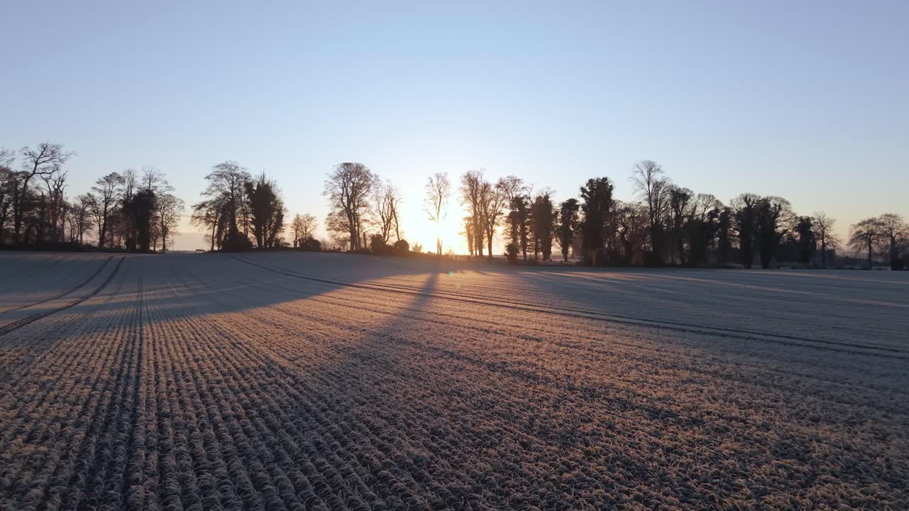 Frosty morning in Irish green fields during golden hour with soft sunlight and tree silhouettes