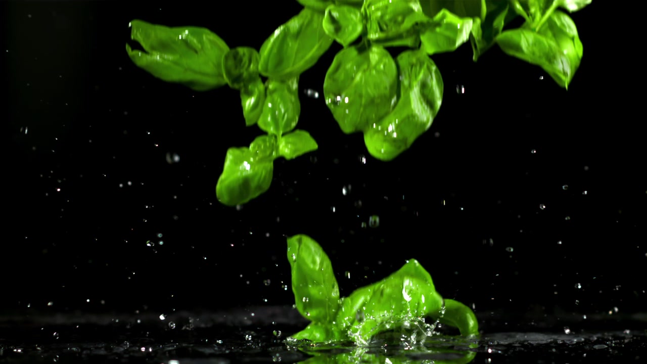 Foglie di basilico verde fresco che cadono su una superficie nera bagnata al rallentatore