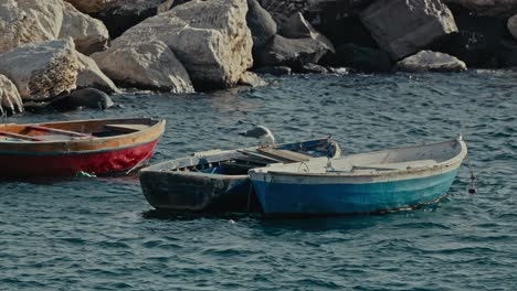 Moored-fishing-boats-at-Belvedere,-Naples,-Italy