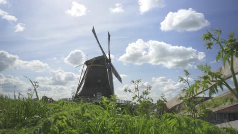 view of netherlands old windmill in a grassy area near a farm - wide shot