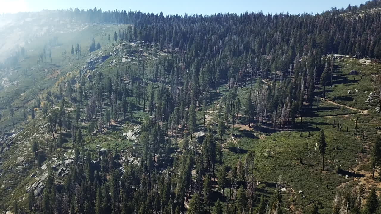 toma aérea de bosques de montaña vírgenes en el parque nacional de yosemite, destino de viaje para turistas