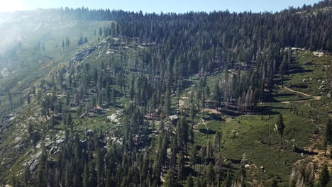 Aerial-Shot-Of-Pristine-Mountain-Forests-In-Yosemite-National-Park,-Travel-Destination-For-Tourists