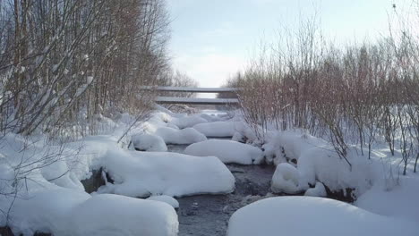 Toma-Aérea-De-Un-Bosque-Cubierto-De-Nieve-Con-Un-Arroyo