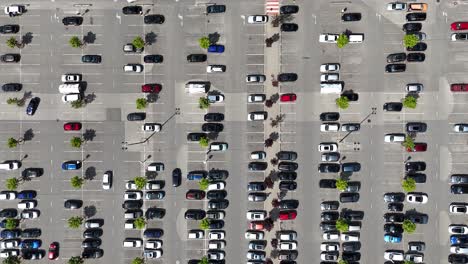 Ein-Belebter-Parkplatz-Mit-Autoreihen-Und-Kleinen-Grünen-Bäumen-An-Einem-Sonnigen-Tag,-Luftaufnahme