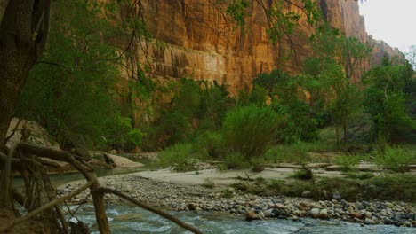 wide static shot of the rocky mountains with a river flowing and plenty of trees and other plans