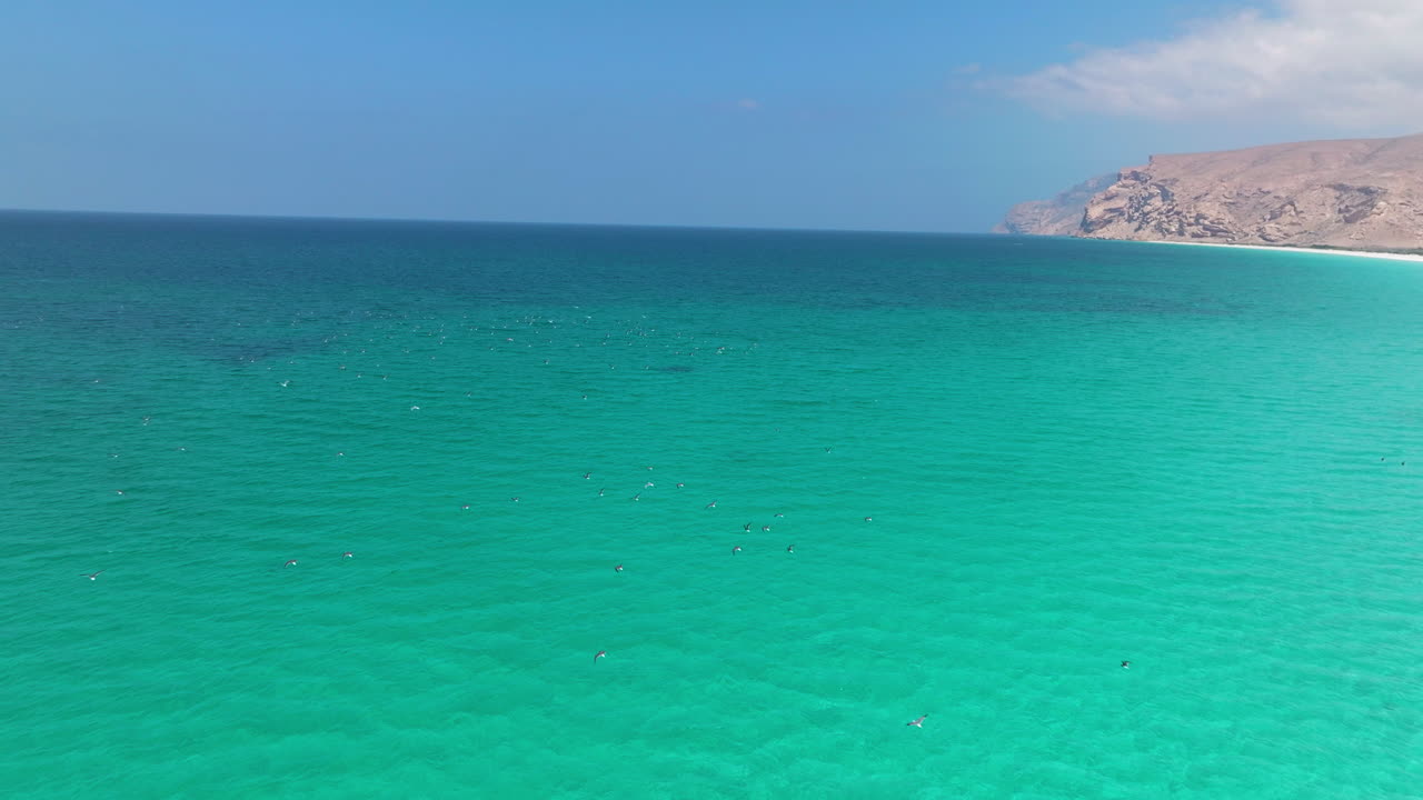 aves marinas volando sobre las aguas azules turquesas del océano en la playa de shoab, isla de socotra, yemen