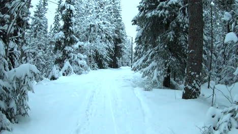 Intense-time-lapse-snow-walk