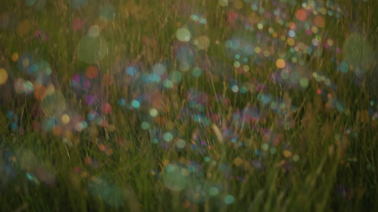 A serene scene featuring colorful bubbles floating in the air above a grassy field. The bubbles create a dreamy, blurred effect that adds a magical and whimsical touch to the natural landscape
