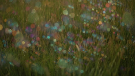 a serene scene featuring colorful bubbles floating in the air above a grassy field. the bubbles create a dreamy, blurred effect that adds a magical and whimsical touch to the natural landscape