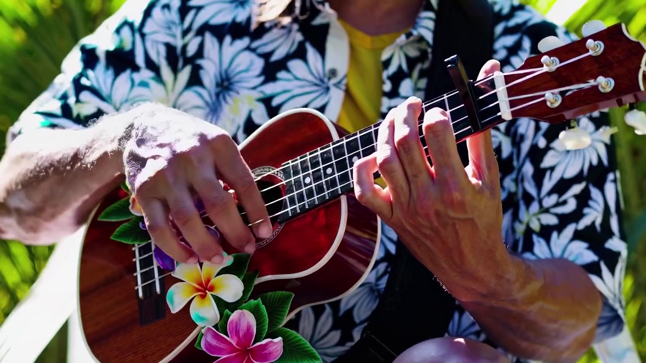 Musicista che Suona Vari Ukulele in un'Ambientazione Tropicale