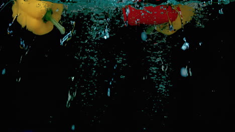 yellow and red bell peppers splashing underwater