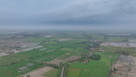 verdant badin farmlands from above, sindh. aerial