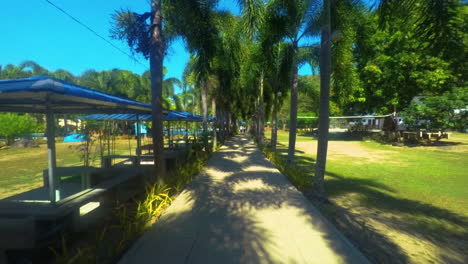 relaxing view of pathway with coconut trees in symmetry, olongapo city, philippines