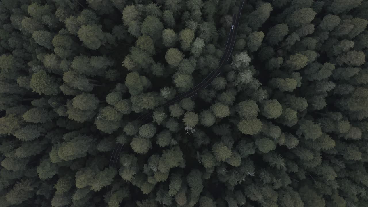 Excellent Aerial Shot Of Cars Driving On The Redwood Highway In Oregon, Surrounded By Thick Forest