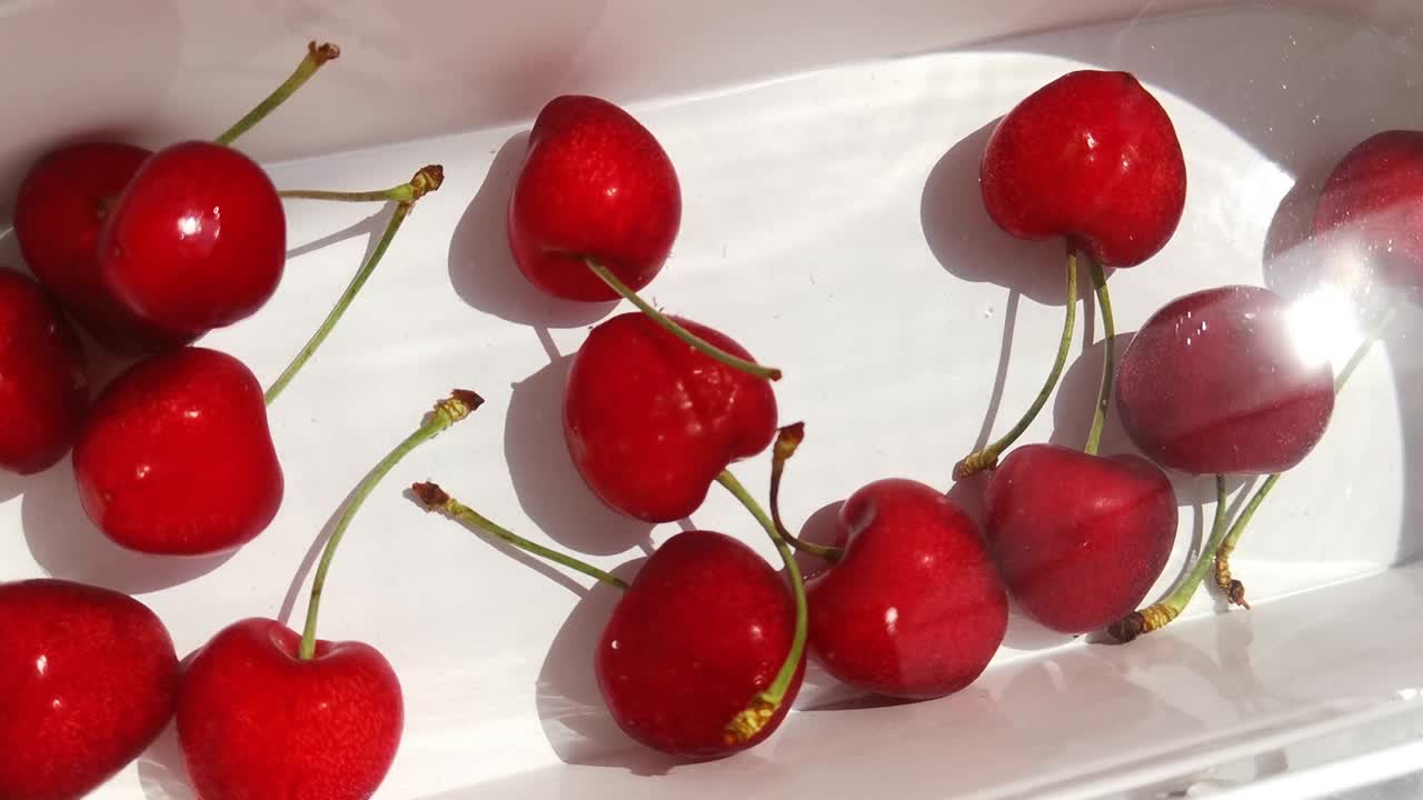 lavando cerezas rojas en agua. una mujer joven lanza frutas maduras a un recipiente de metal blanco.