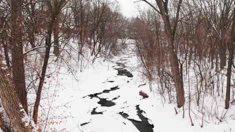 Drone-through-small-snow-covered-river-creek-surrounded-by-leafless-trees-during-winter