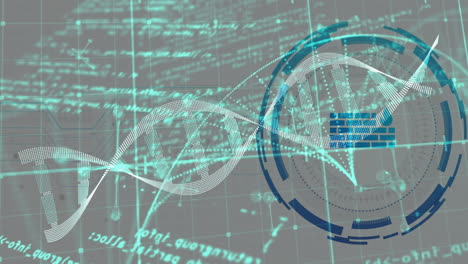 DNA-Strang-Und-Wissenschaftliche-Datenverarbeitungsanimation-über-Gitterhintergrund