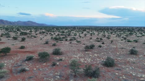 Vista-Aérea-Panorámica-Circular-Del-Paisaje-Del-Kalahari-De-La-Sabana-Meridional