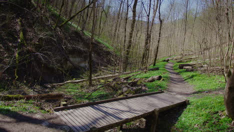 Ruta-De-Senderismo-En-Primavera,-Inclinada-Hacia-Arriba