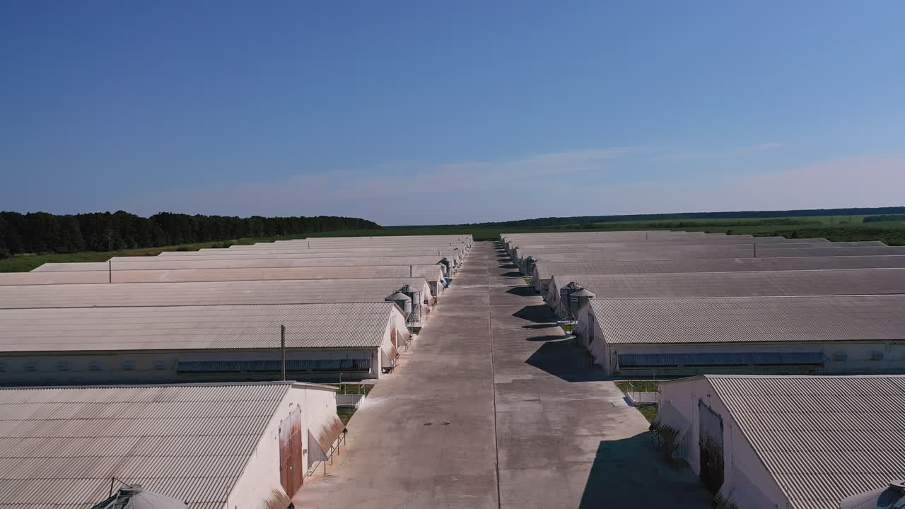 Long barns with grain silos beside at the large farming area. Spacious modern farming complex for organic animal breeding. View from above.