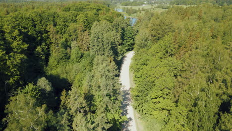 Bosques-Verdes-De-Letonia-En-El-Mes-De-Mayo