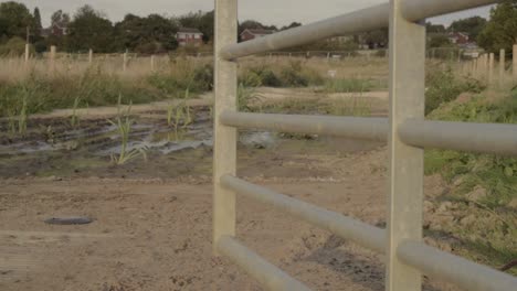la puerta de metal se abre a un terreno baldío registrado por el agua