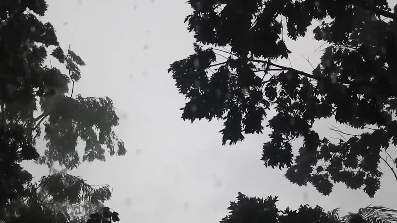 회색 하늘, 비와 바람이 많이 부는 우울한 날씨