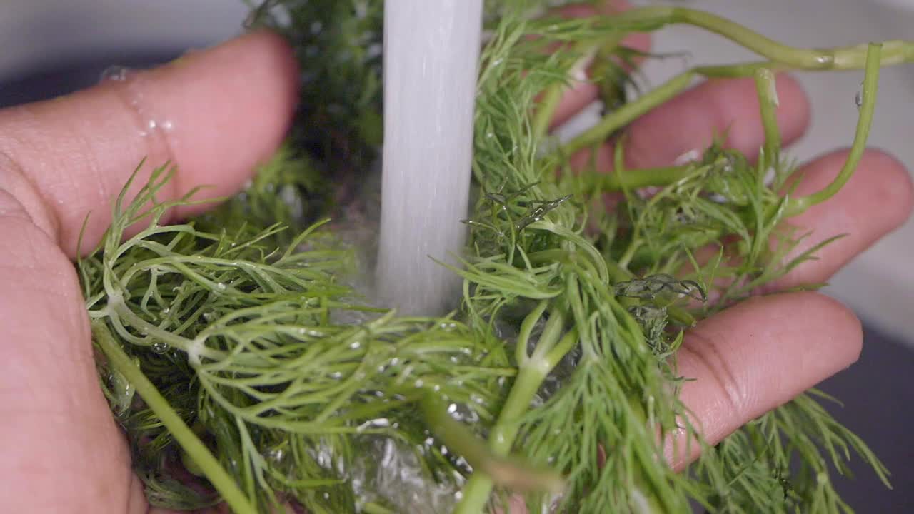 Washing Fresh Dill