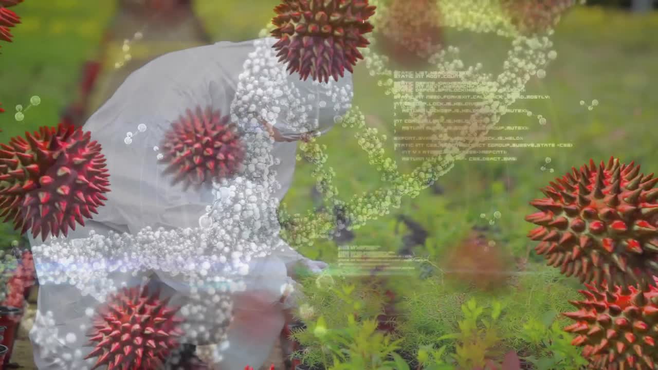 과학자 분사 플랜트