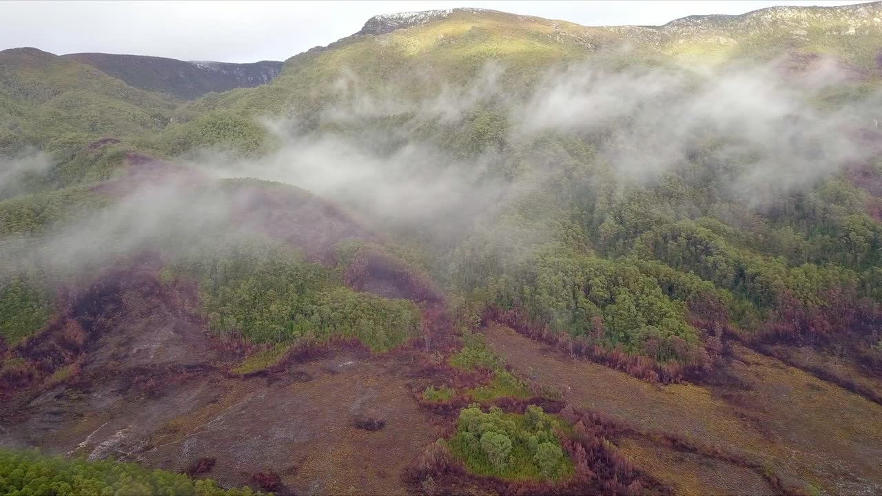 vuelo aéreo sobre montañas nebulosas y bosque verde y rojo en tasmania en australia, tiro largo dolly derecho