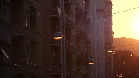 pollen particles floating in the air among street lights and apartment blocks at sunset, budapest, hungary - 180 fps slow motion