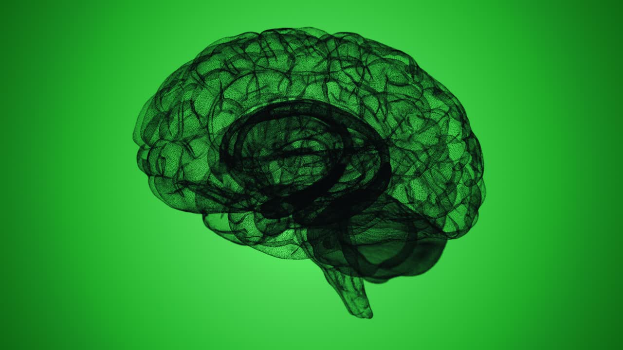 Seamless Loop of a Wireframe D Brain Model