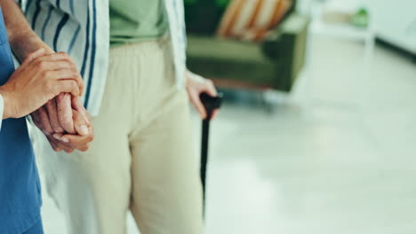 walking stick, hands support