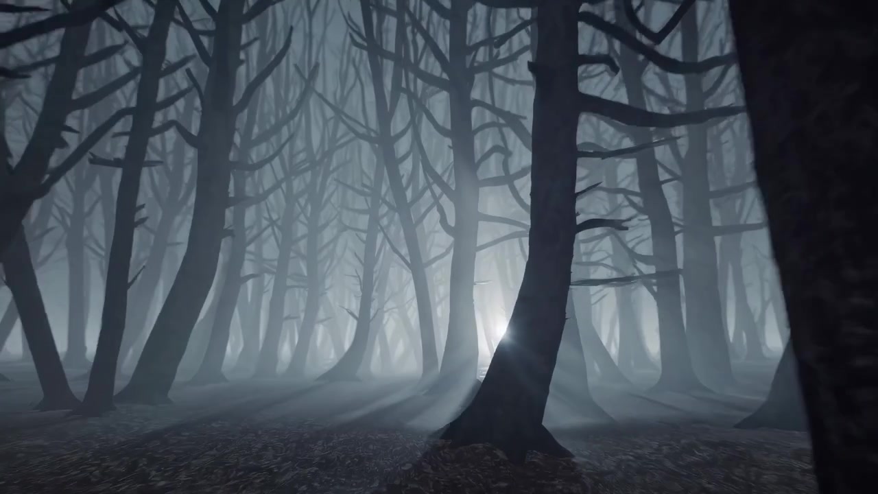 Eerie Misty Forest with Silhouetted Bare Trees and Light Rays
