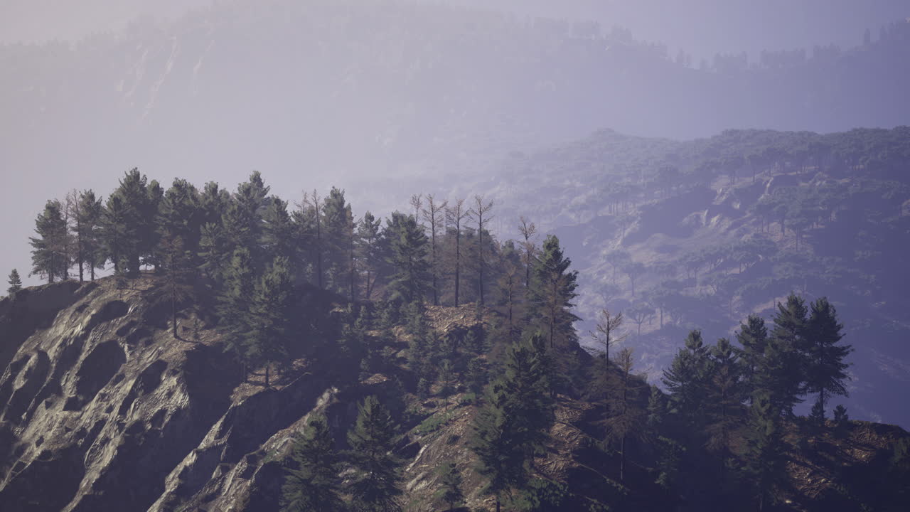 Majestic mountain landscape with towering trees and mysterious fog