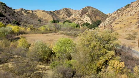 pico canyon, california y sus colores otoñales