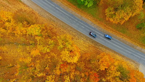 Vista-Superior-Camino-Forestal-De-Otoño-Y-Automóviles.-Edificios-Ciudad-Y-Aparcamiento-Vista-De-Drones