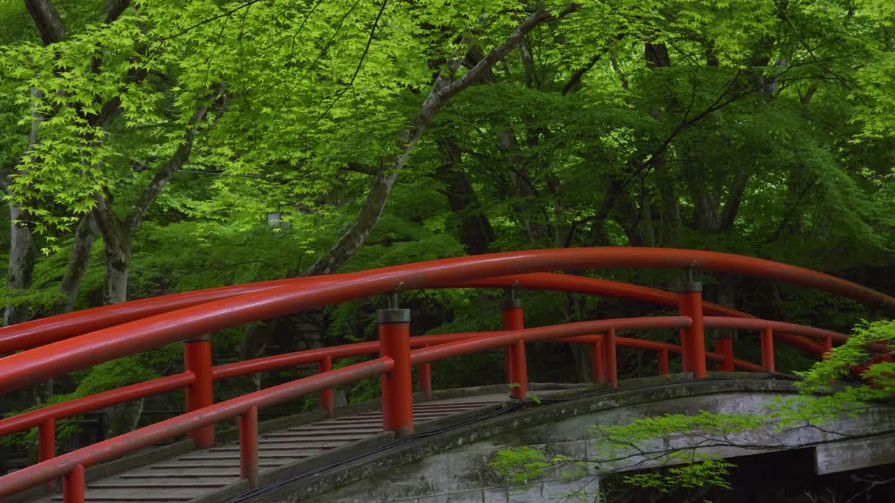 Typical Japanese wooden red bridge deep inside lush forest, tilt up