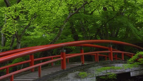 typical japanese wooden red bridge deep inside lush forest, tilt up