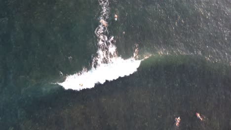 cenital shot of surfer riding wave in clear blue water at hawaii