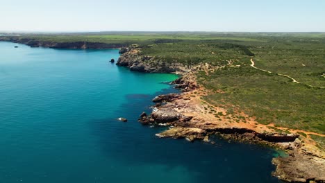 rocky cliffs covered with vegetation in praia do amado, algarve region, portugal. aerial drone shot