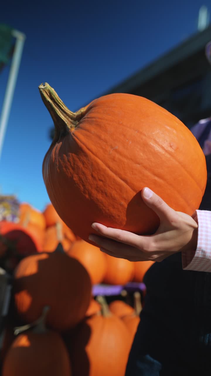 chica sosteniendo una calabaza en un parche de calabaza