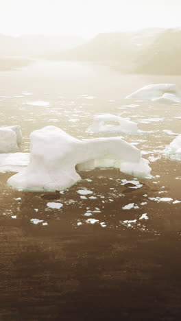 aerial view of icebergs in the arctic