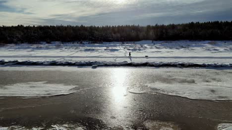 A-person-walking-a-golden-retriever-dog-on-a-leash,-along-a-snow-covered-riverbank,-with-a-line-of-snow-covered-trees-in-the-background