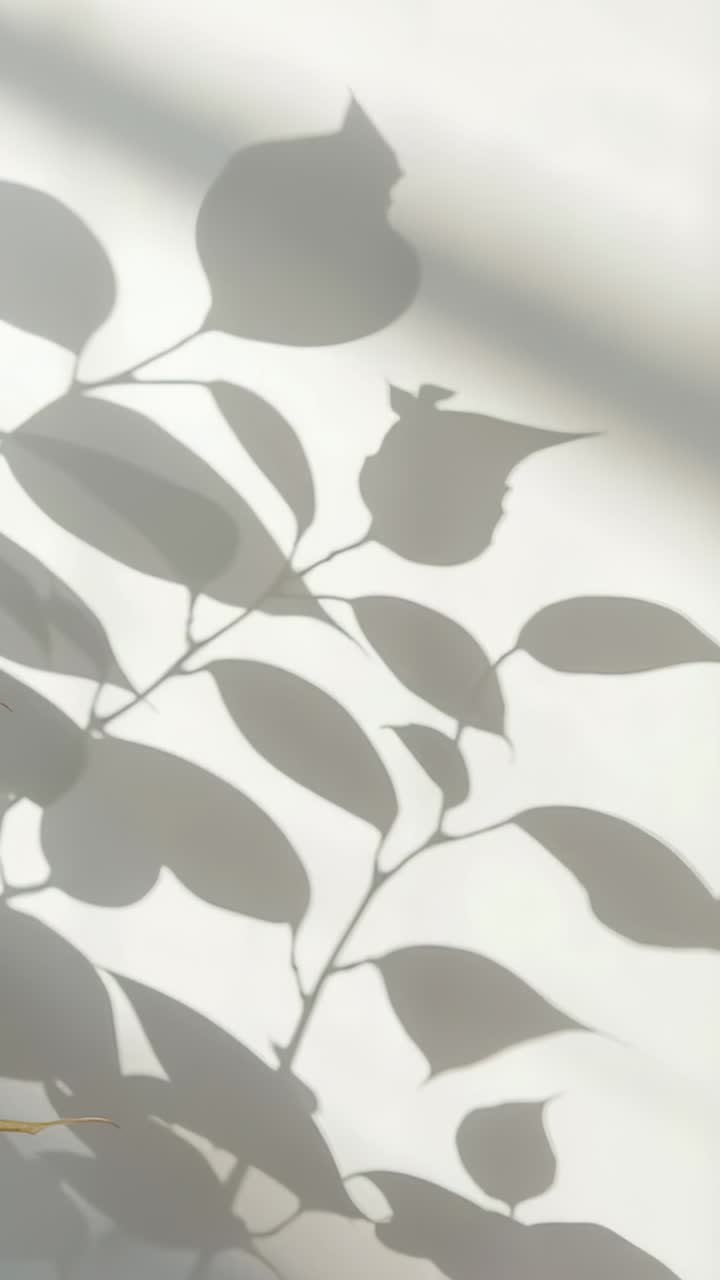 Vertical video: Filtering sunlight creating plant shadow shifting on white wall, soft light bands