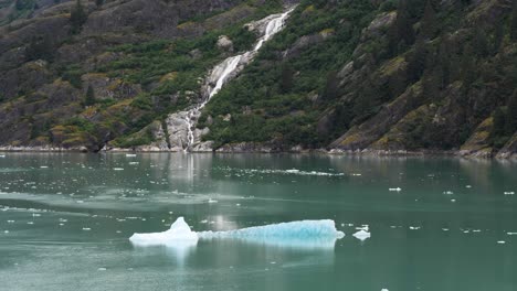 picturesque waterfall along the granite steep wall of the mountain and icebergs floating at endicott arm fjord, alaska.