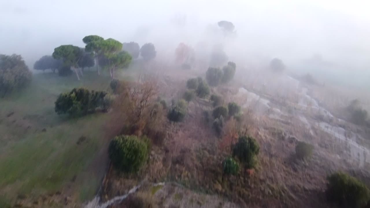 Birds eye view drone shot flying fast over forests and fields in mist