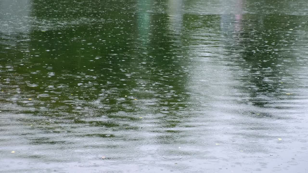 반사와 함께 호수에서 물결을 일으키는 비방울